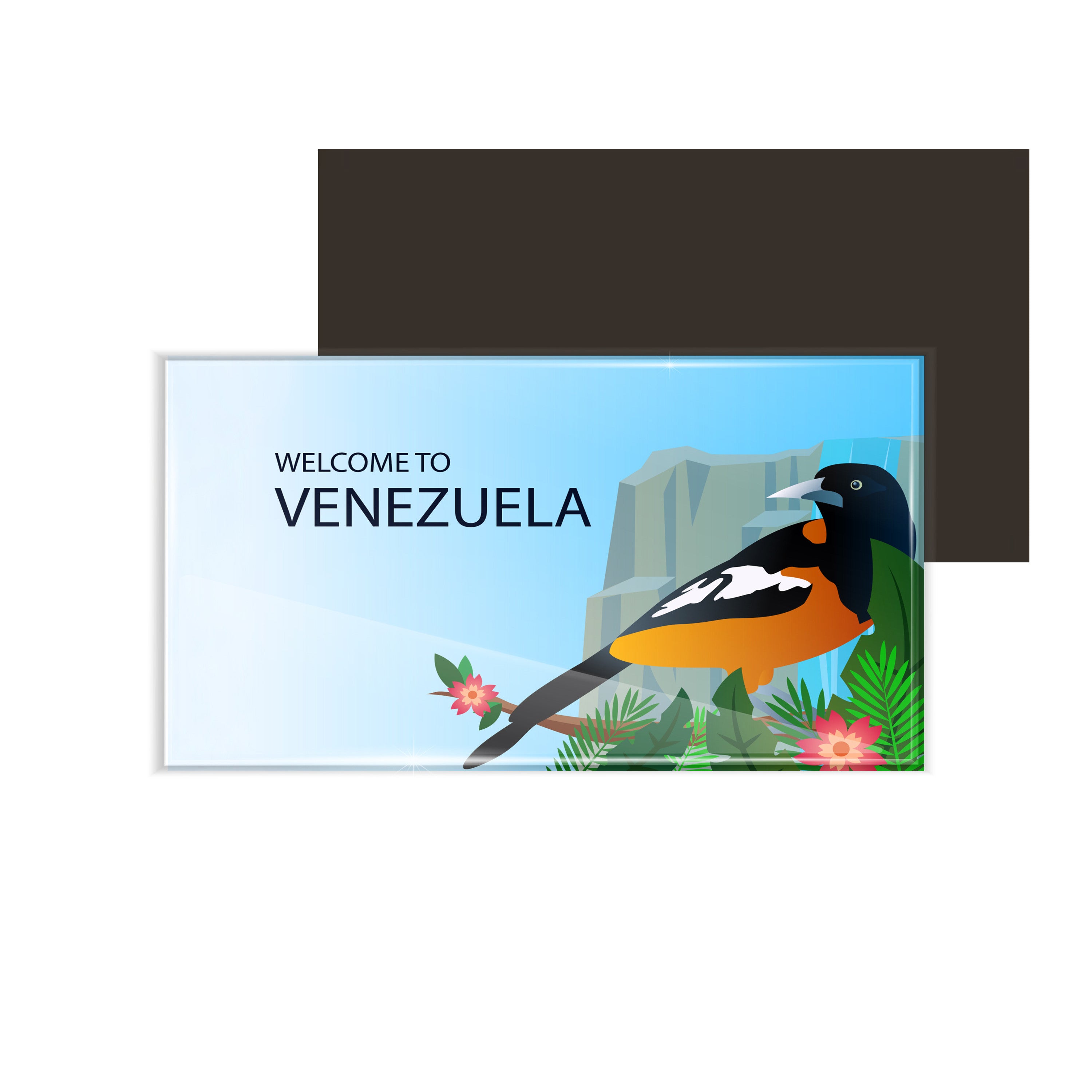 dhcrafts Fridge Magnet Rectangle Acrylic Glass (8.6 x 5.4 cm) Multicolor Travel Venezuela D3 Design Pack of 1